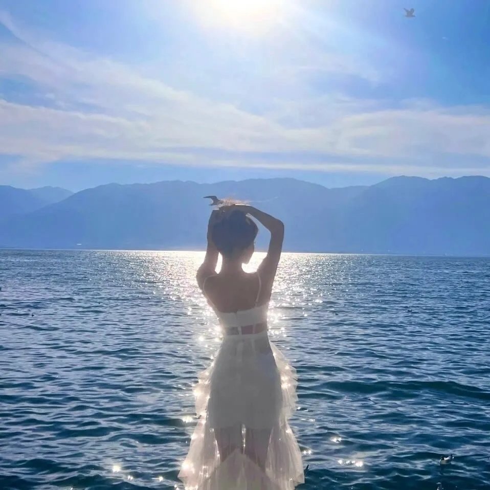 骑弹飞行 海报